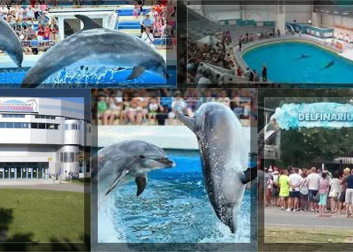 Daria * 콘스탄차