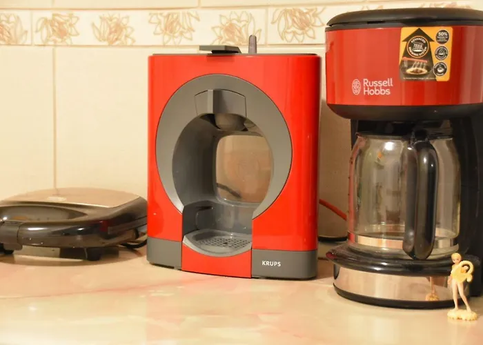 Daria * 콘스탄차